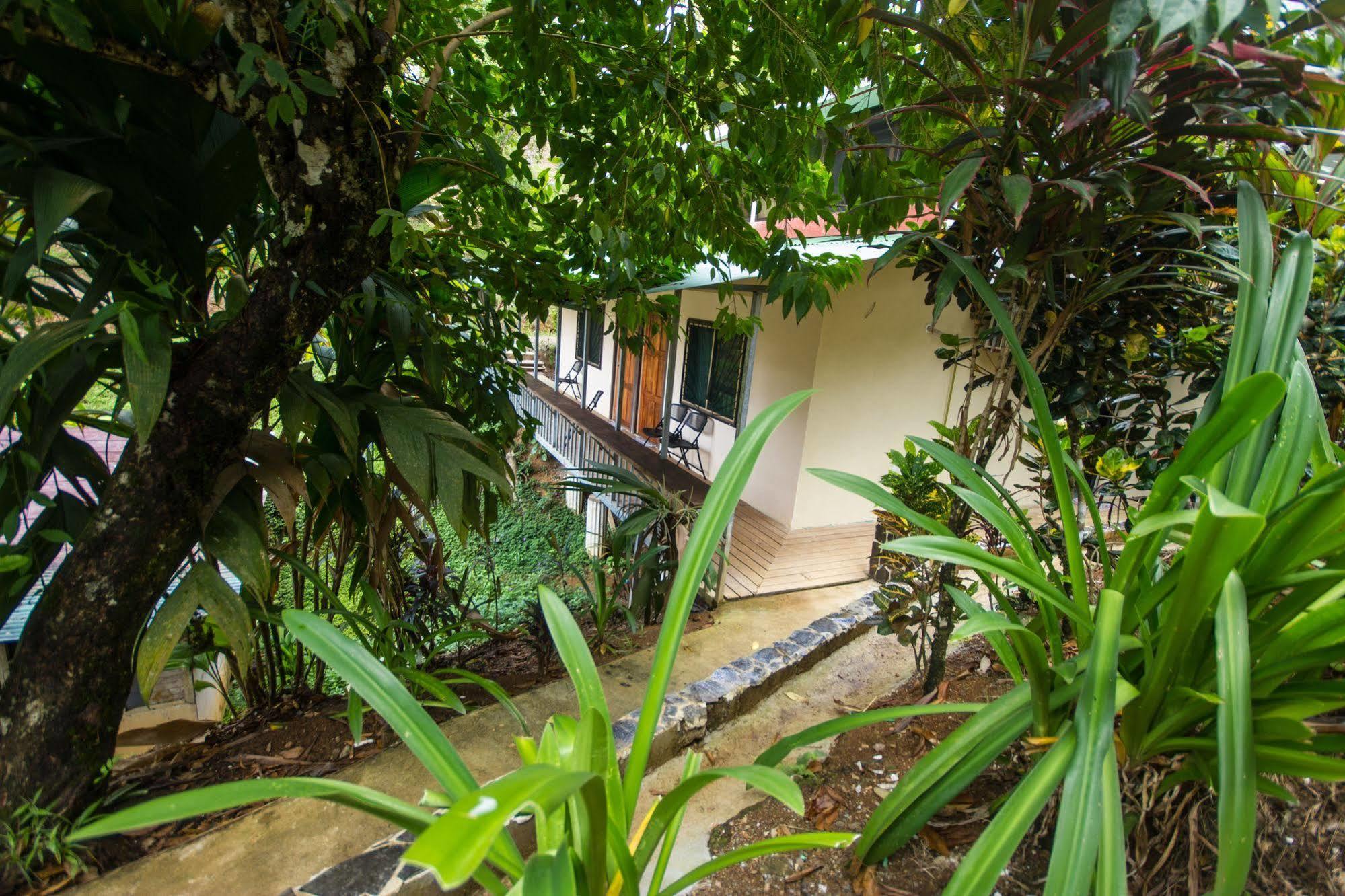 Hotel Rancho Corcovado Драке Экстерьер фото